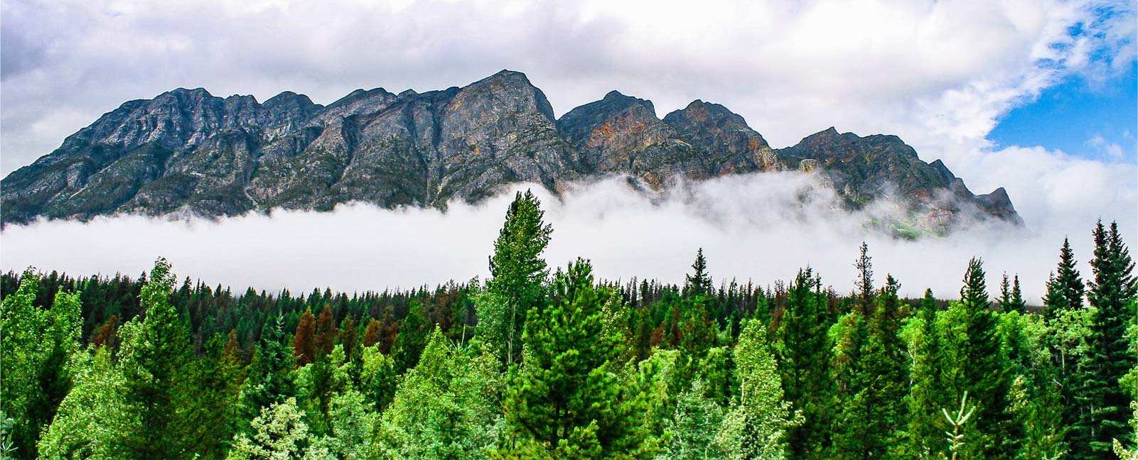 เจ้อเจียง Zhongli วัสดุสังเคราะห์เทคโนโลยี จำกัด